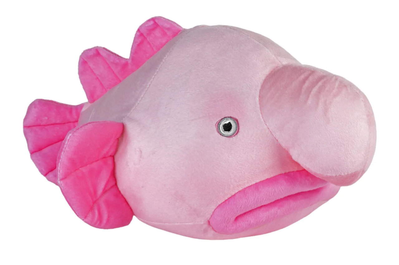 Eco Blobfish