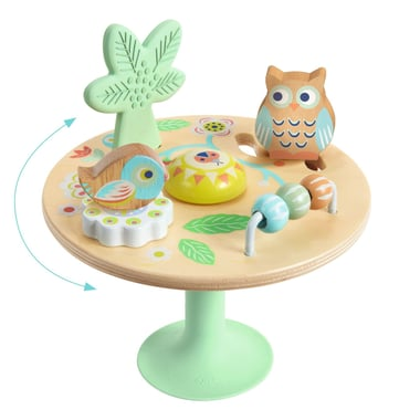 Baby Molti Rotating Activity Toy
