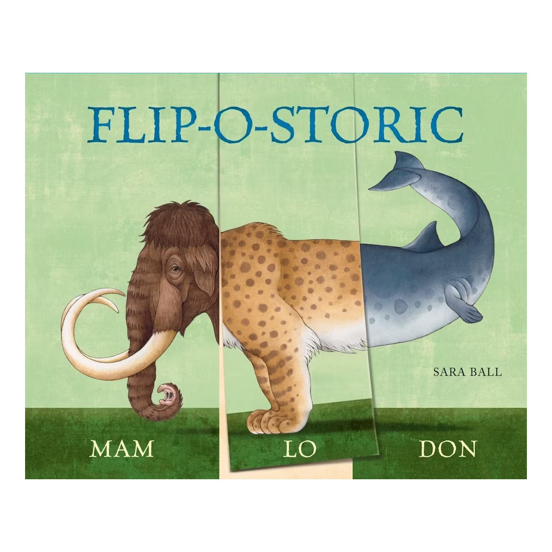 Flip-O-Storic