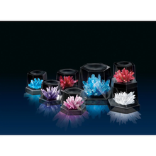Crystal Growing Kit - Experimental Kit