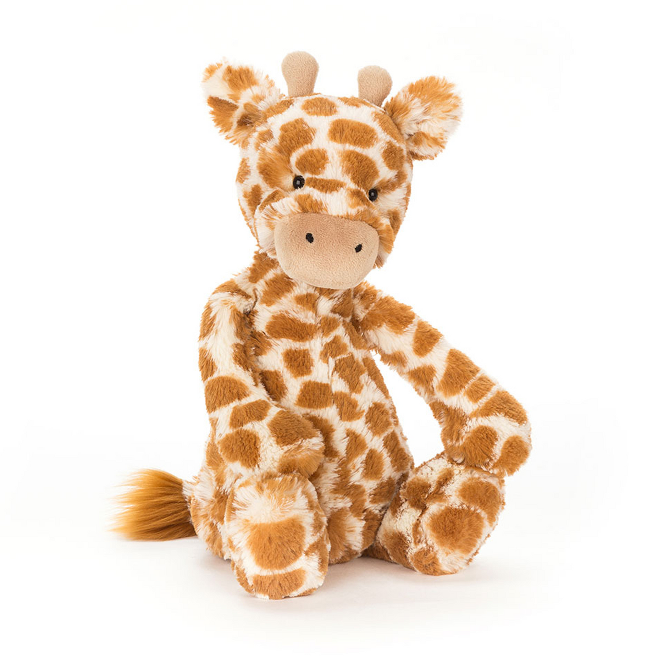 Bashful Giraffe