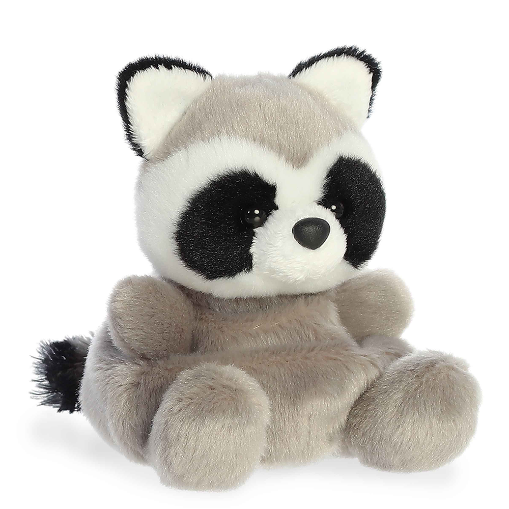 Rascal Raccoon