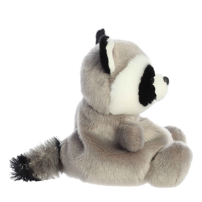 Rascal Raccoon