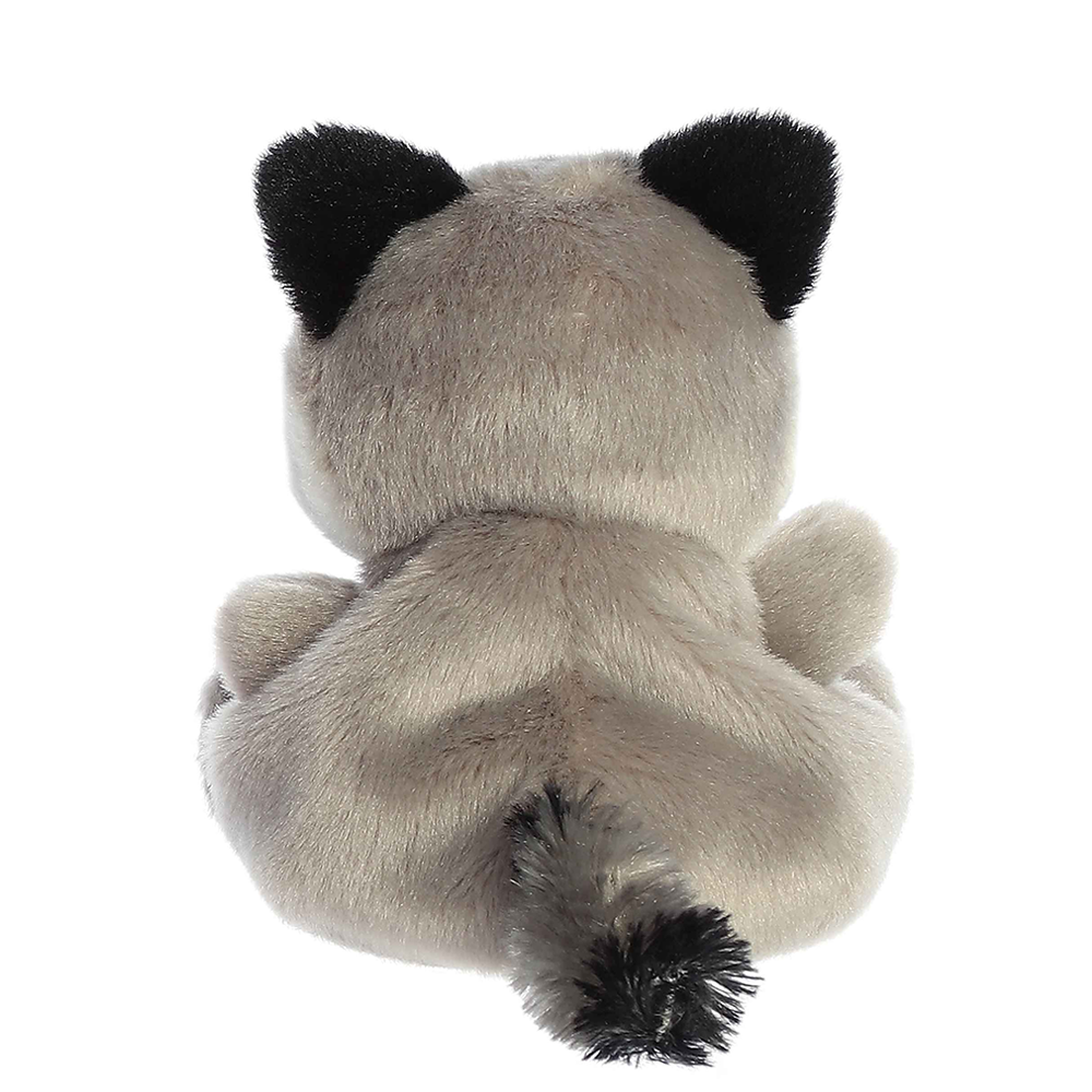 Rascal Raccoon