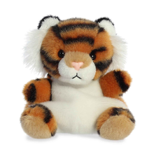 Indy Tiger