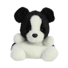 Brody Collie