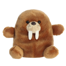 Waldo Walrus