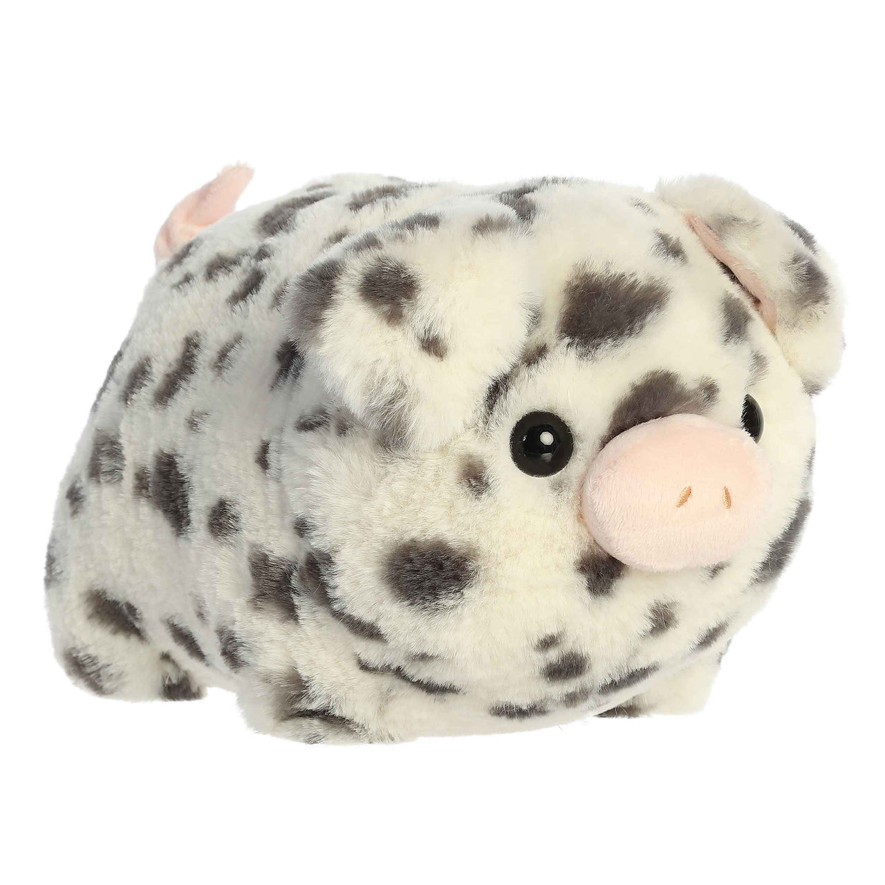 Pierre Spotted Pig