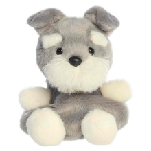 Korra Schnauzer