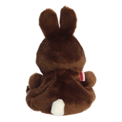 Richie Chocolate Bunny