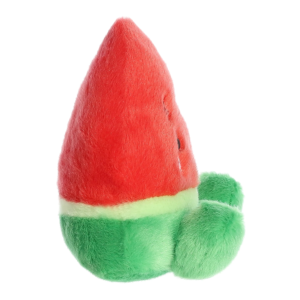 Sandy Watermelon