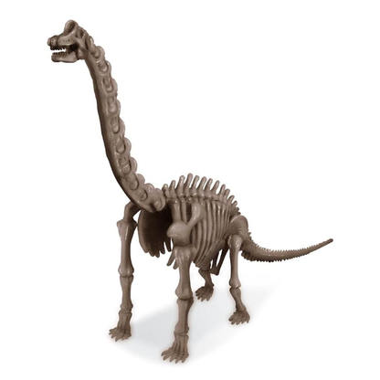 Dig A Dinosaur - Brachiosaurus