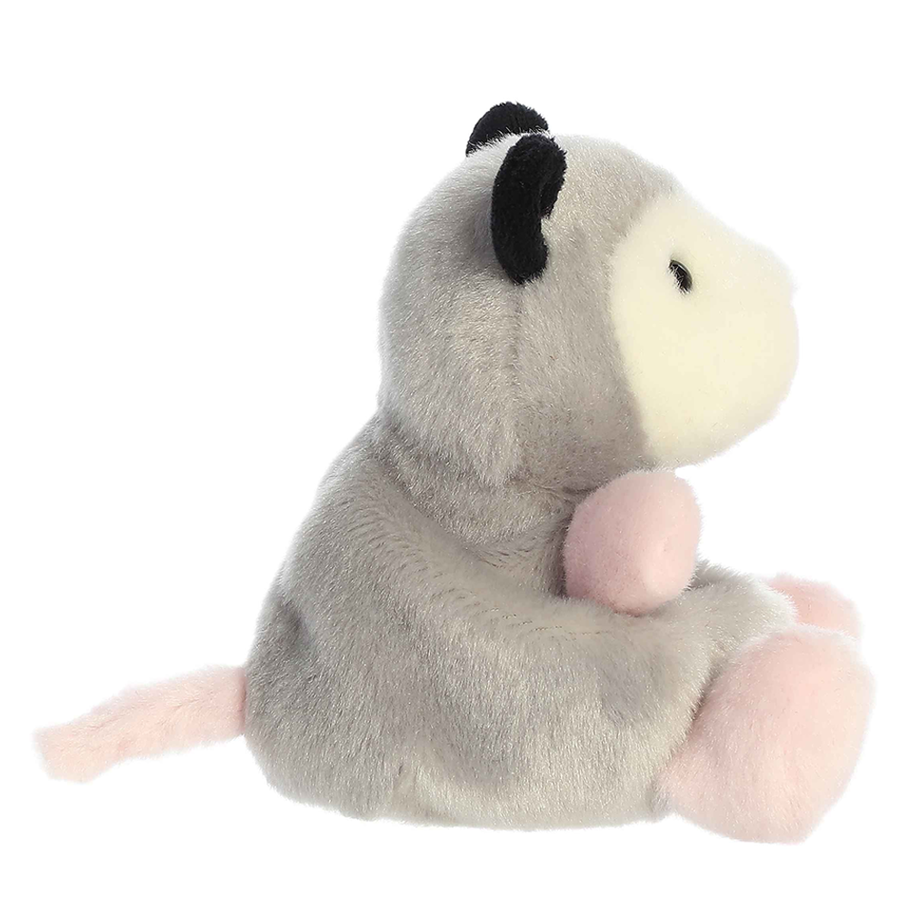 Sherri Opossum