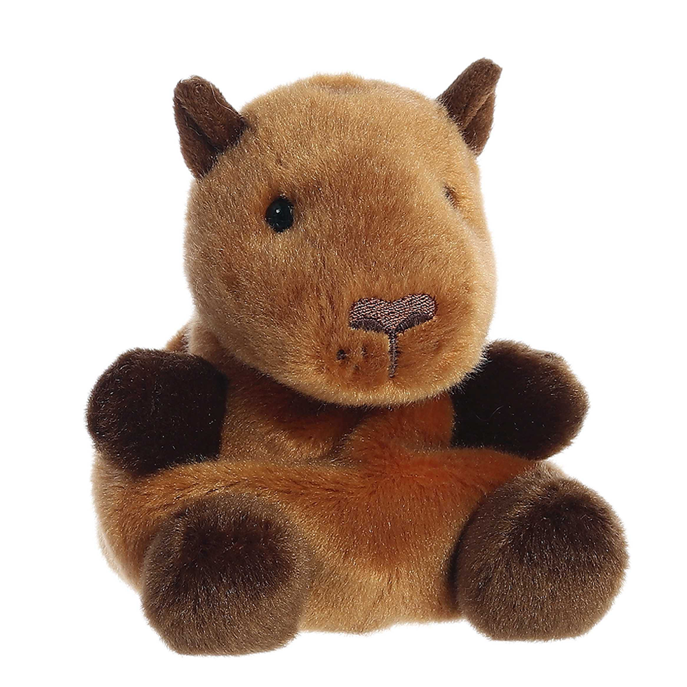 Sid Capybara