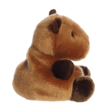 Sid Capybara