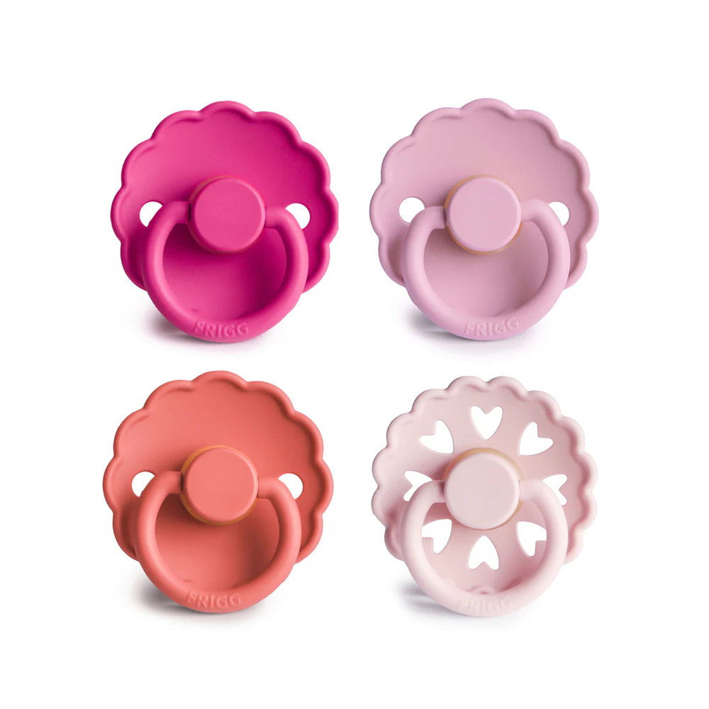 Multi Latex Pacifier Set of 4 - Rosy Romance