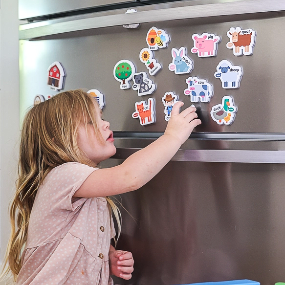Magnetic Farmyard
