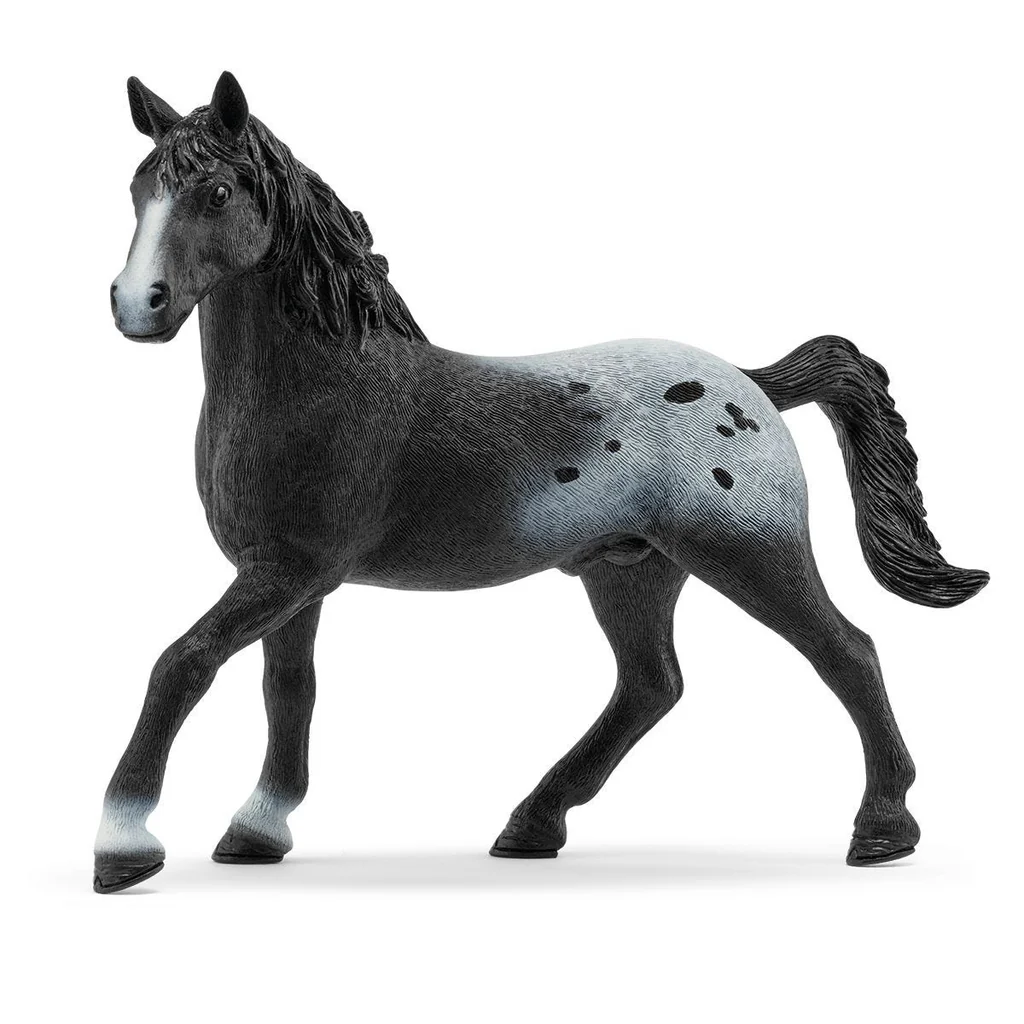 Knabstrupper Stallion - Limited Edition