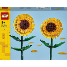 Sunflowers 40524