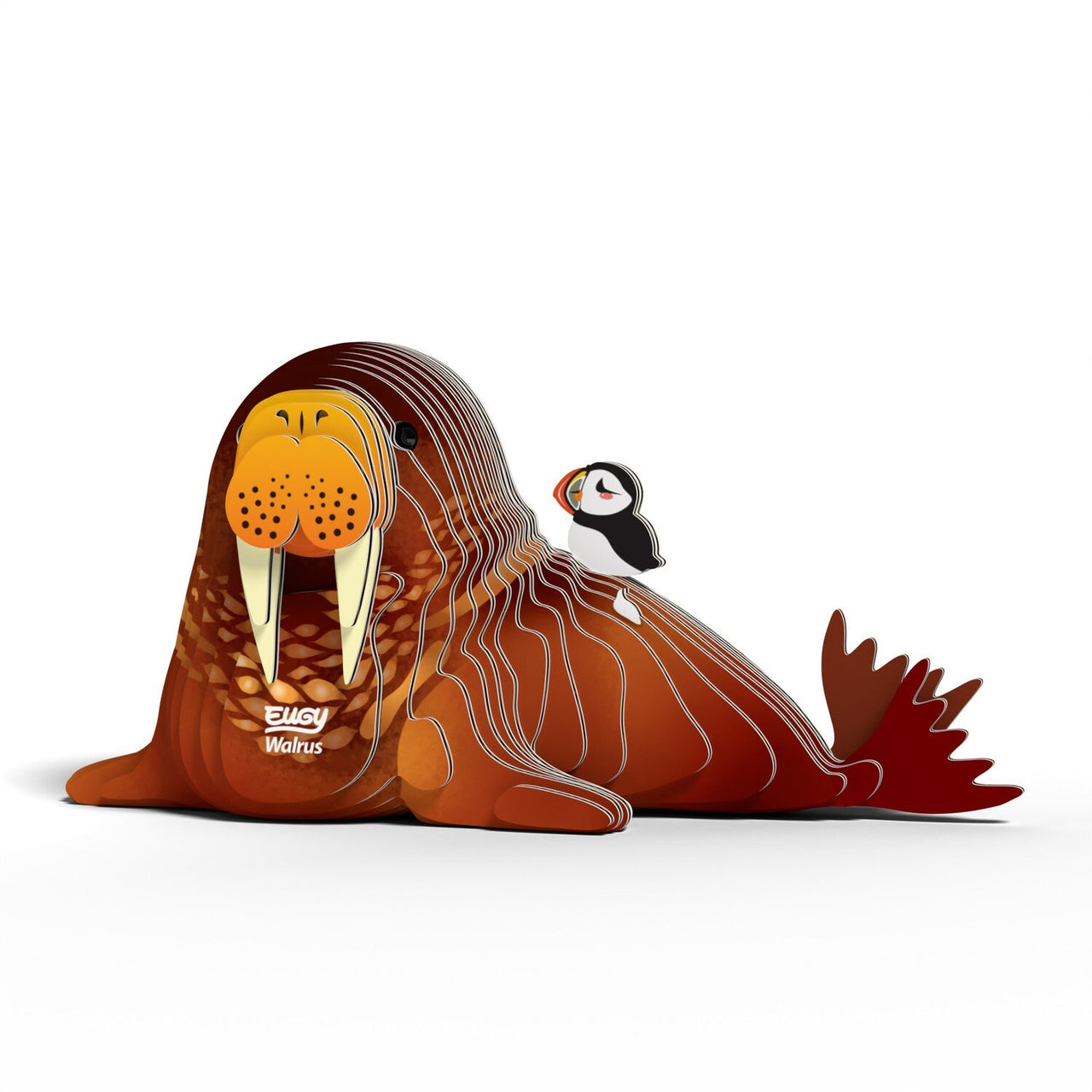 3D Cardboard Model Kit - Walrus