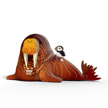 3D Cardboard Model Kit - Walrus