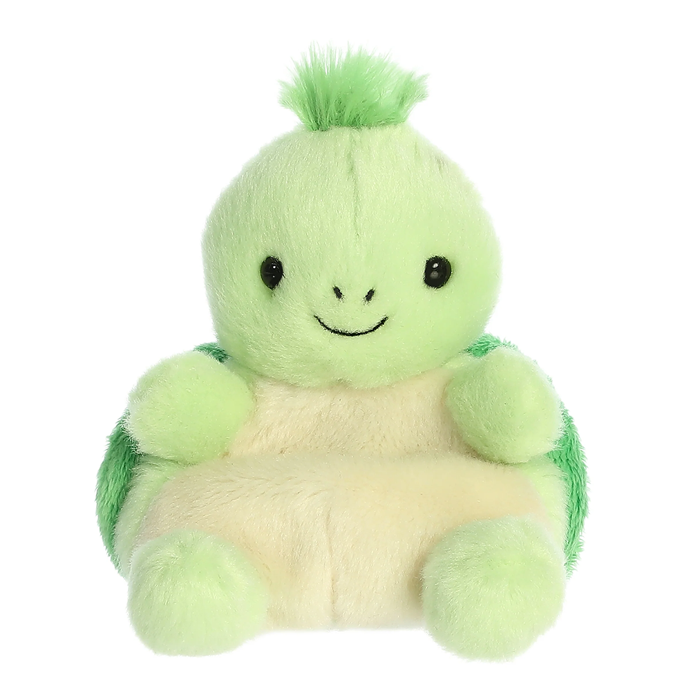 Tiny Turtle