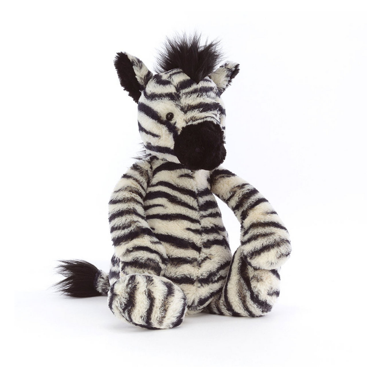 Bashful Zebra