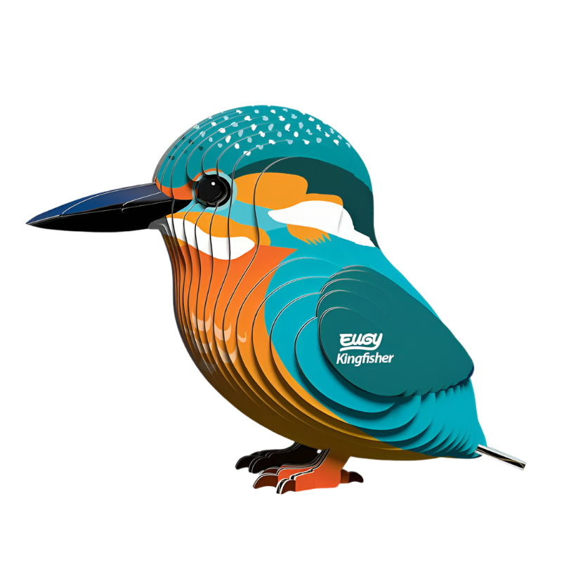 3D Cardboard Model Kit - Kingfisher