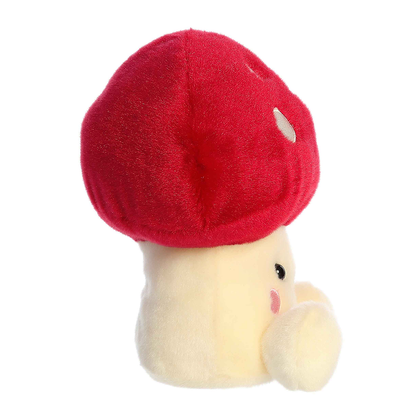 Amanita Mushroom