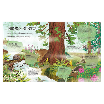 The Magic & Mystery of Trees
