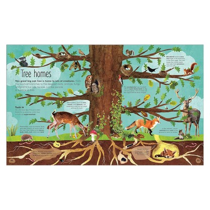 The Magic & Mystery of Trees