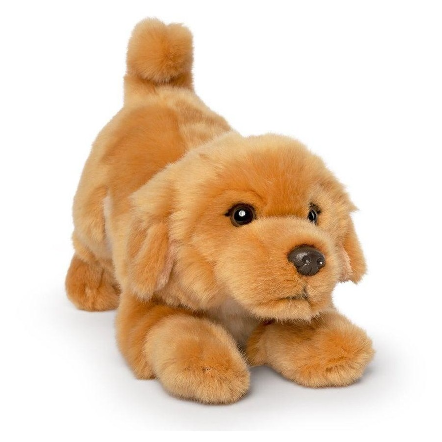 Golden Retriever Playful Pup