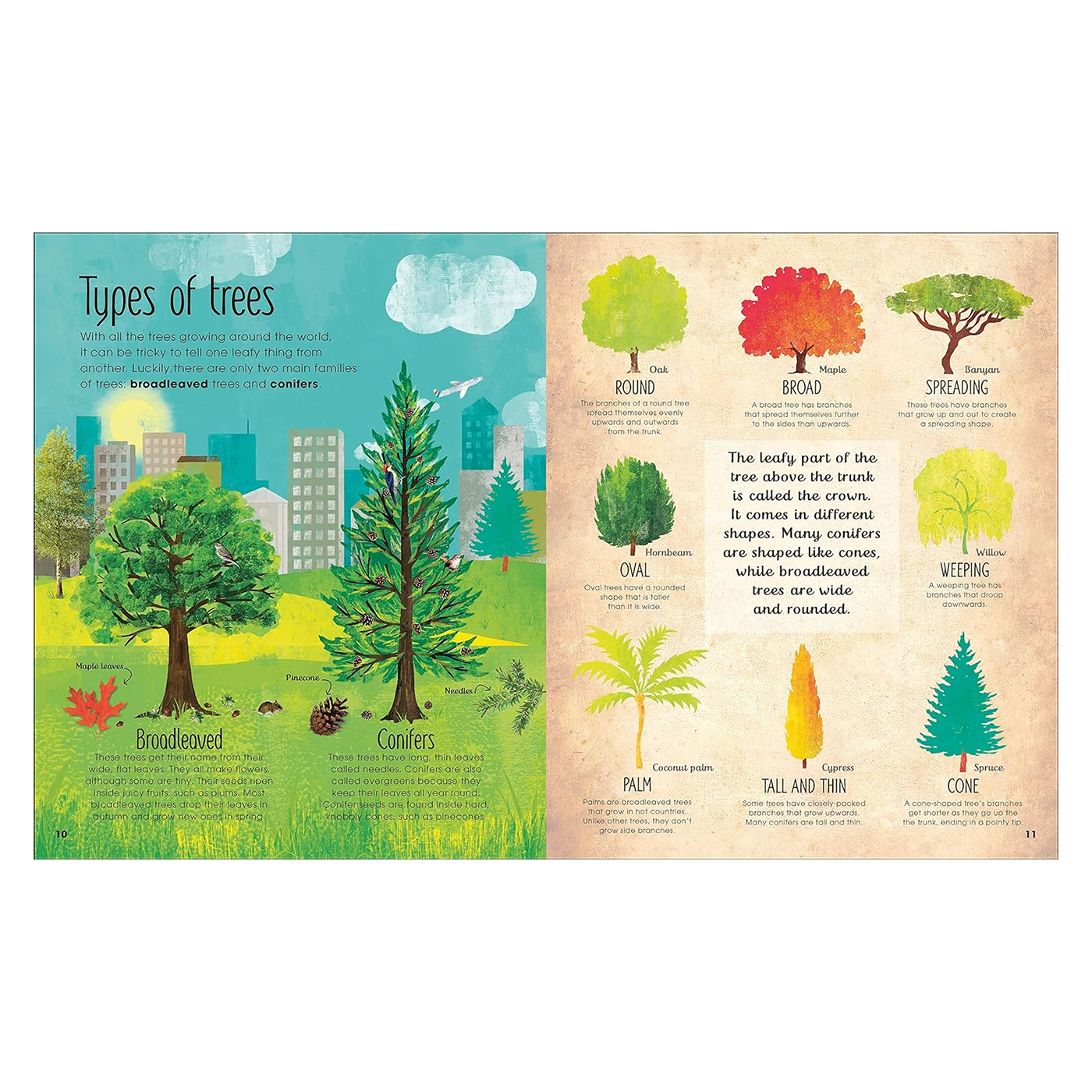The Magic & Mystery of Trees