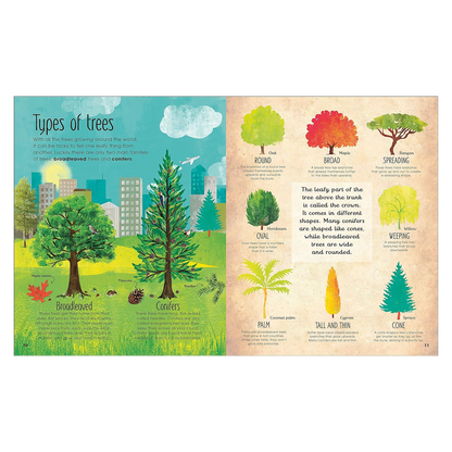 The Magic & Mystery of Trees