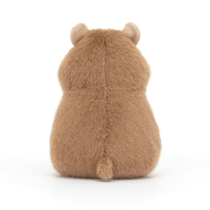 Gordy Guinea Pig