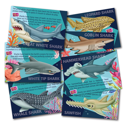 Mould & Paint - Sharks