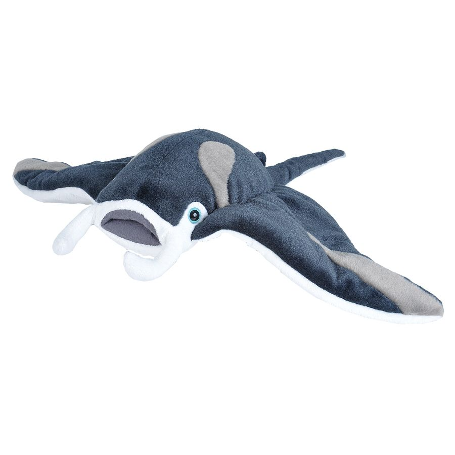 Manta Ray