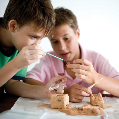 STEAM Powered Kids - Earth Science
