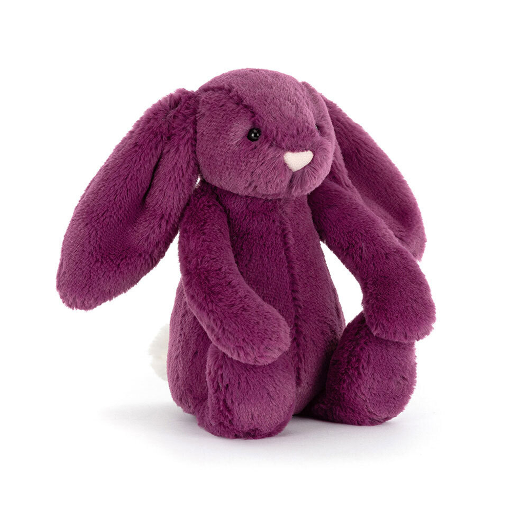 Bashful Allium Bunny