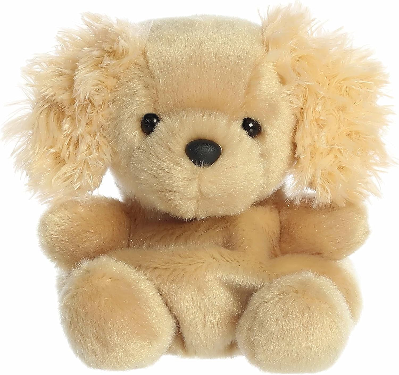 Oatmeal Goldendoodle
