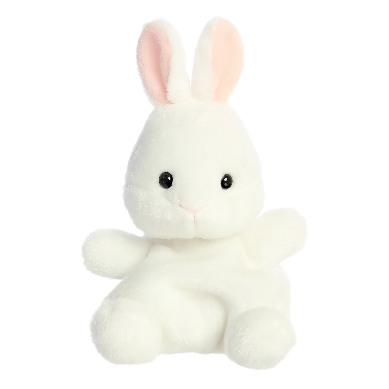 Cottontail Bunny