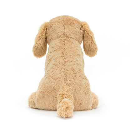 Tilly Golden Retriever