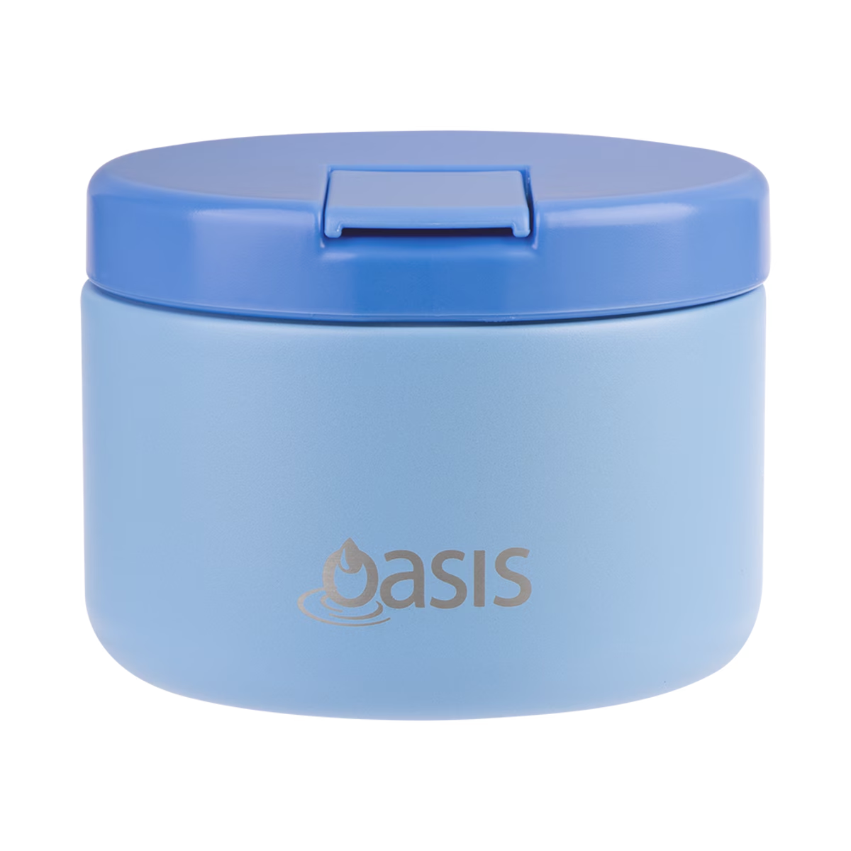 Double Wall Insulated Food Flask 300ml (Blue)
