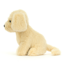 Golden Puppy