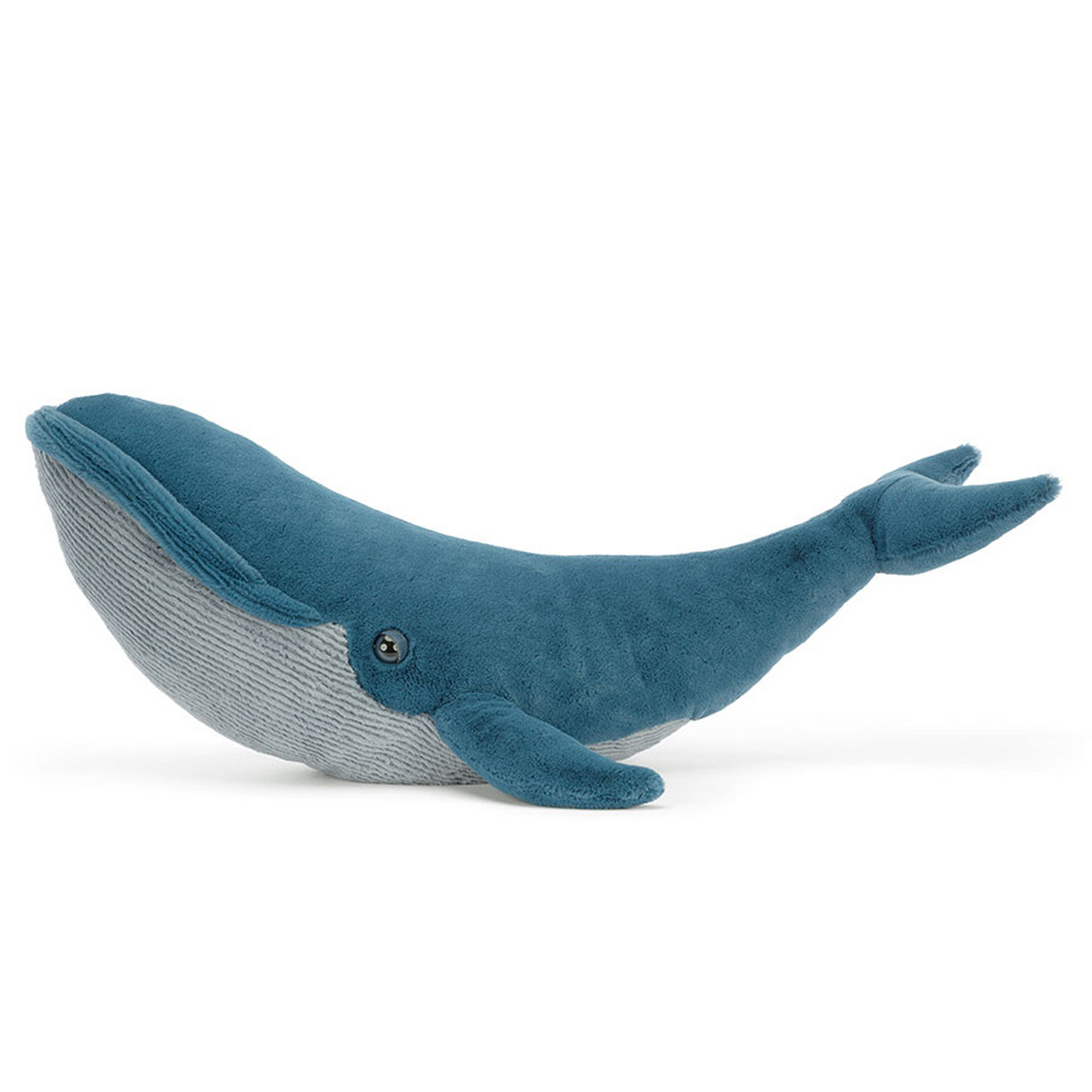 Gilbert the Great Blue Whale