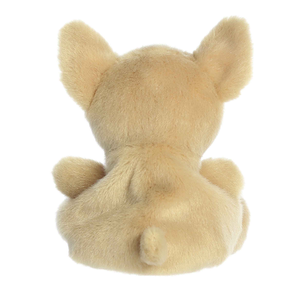 Cookie Chihuahua