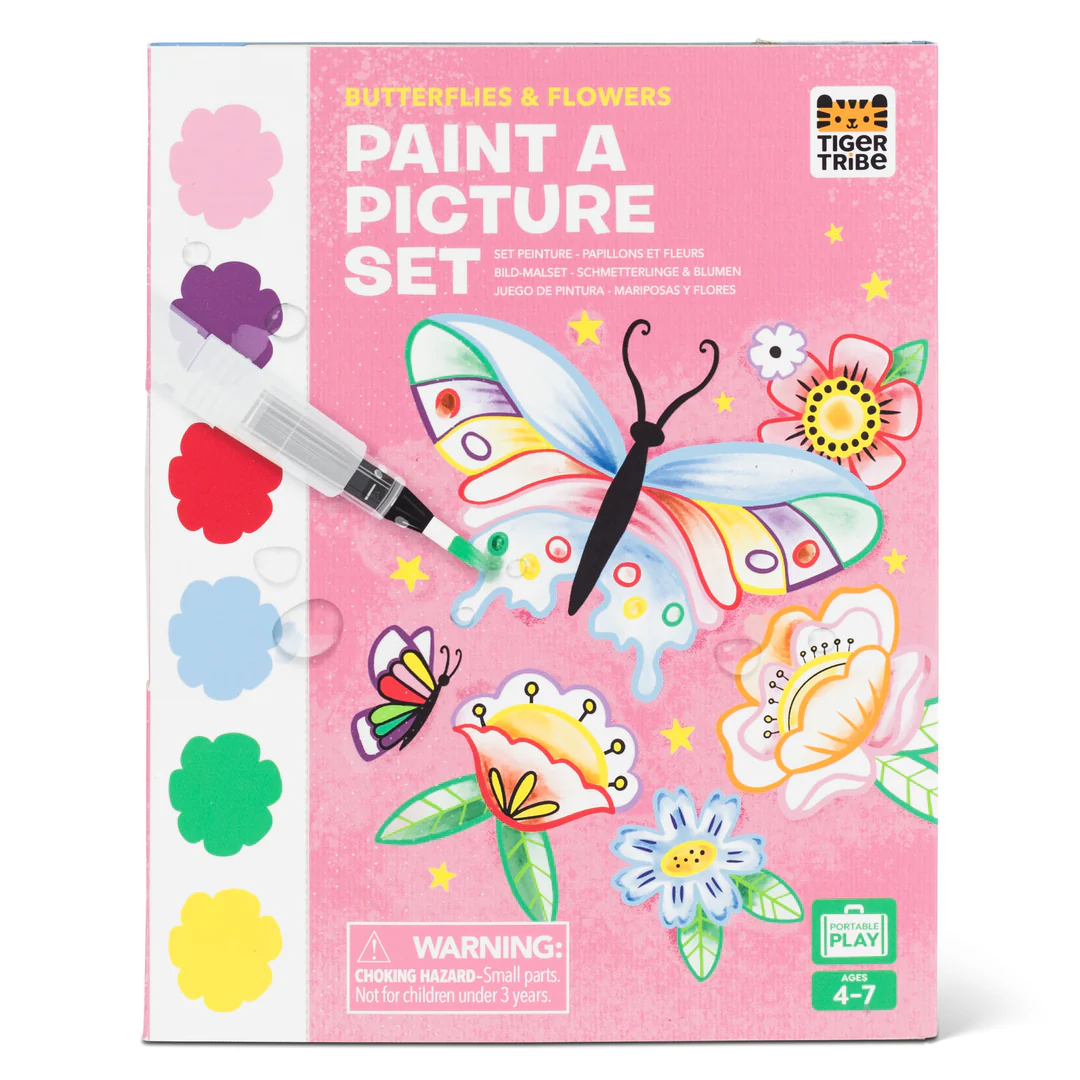 Paint a Picture Set - Butterflies & Flowers