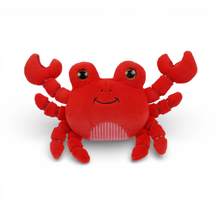 Crabbie Crab - Clawdia