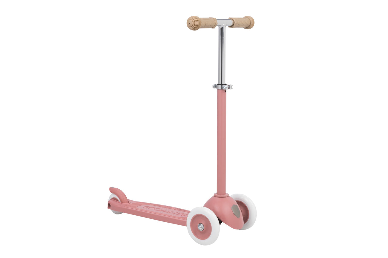 Eco Scooter - Raspberry