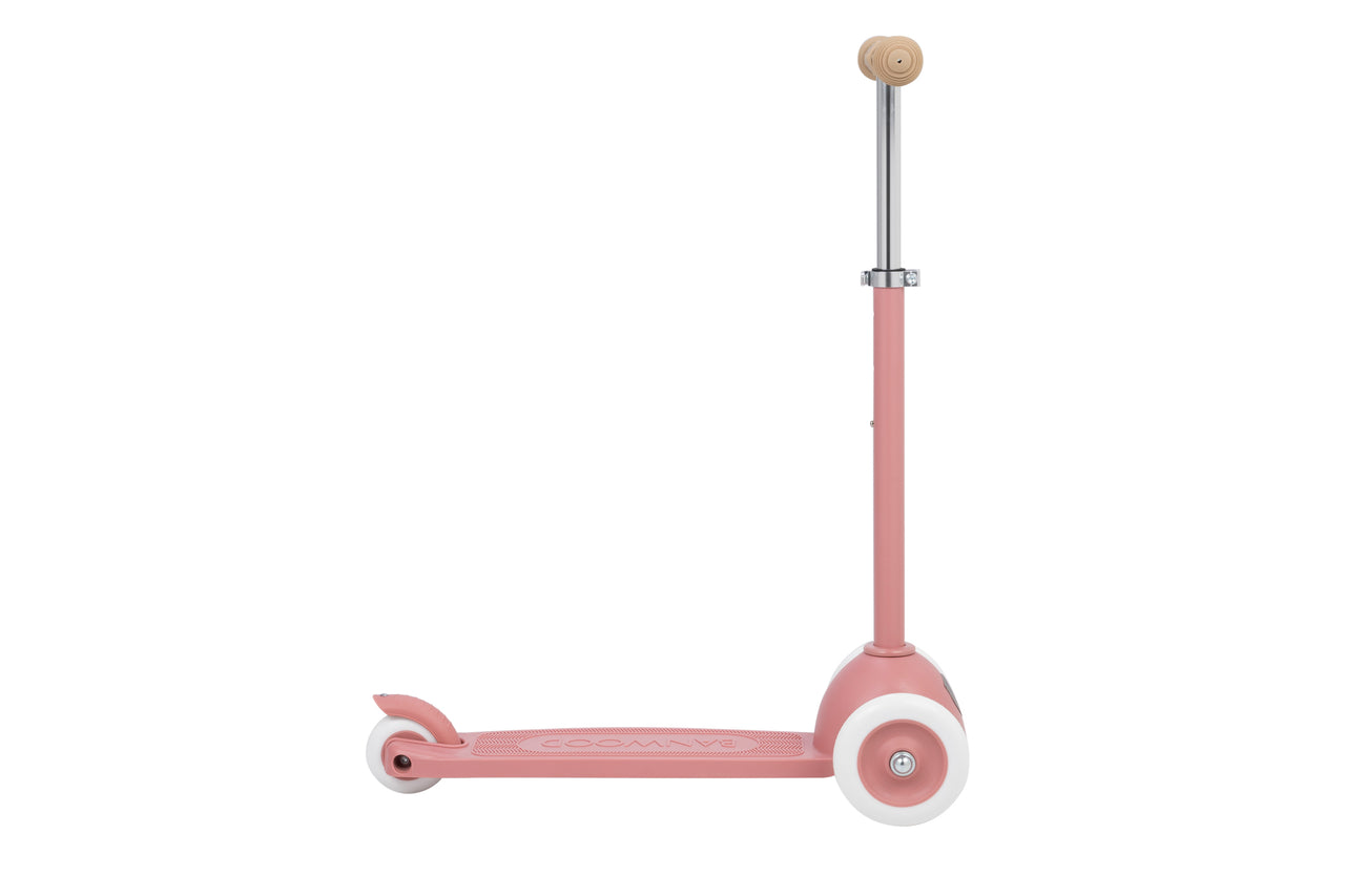 Eco Scooter - Raspberry